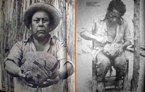 2) En 1975 la prensa peruana publicó estas fotos de Basilio Uchucya