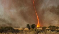 tornado-de-fuego-en-australia--619x348
